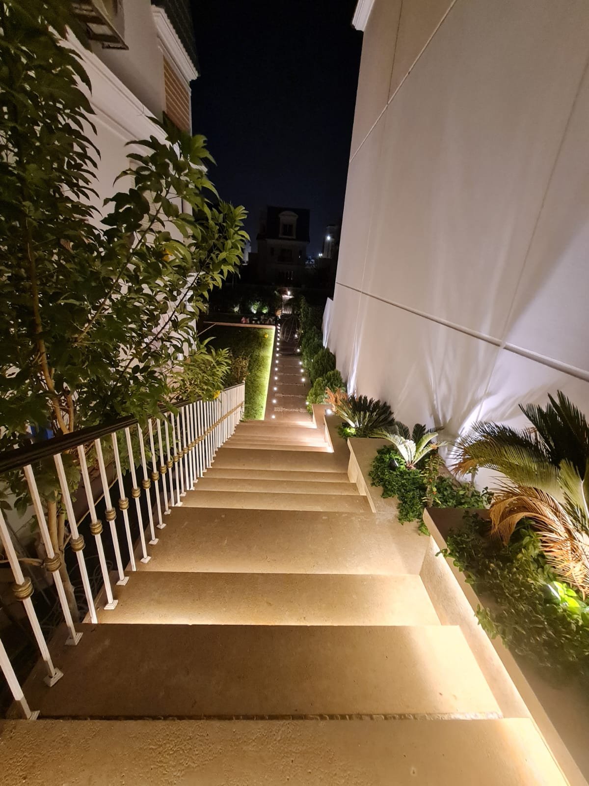 WhatsApp Image 2025-08-19 at 19.15.20_70238c5e